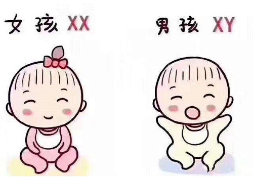 准备做美国试管婴儿，自身卵子质量不佳怎么办？