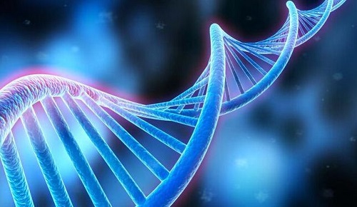 若想赴泰国试管婴儿成功受孕，“这些”还得多加注意