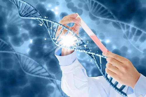 美国试管婴儿基因检测会导致胚胎畸形吗？