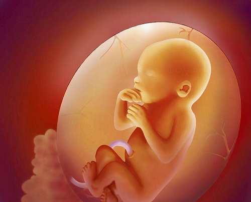 试管婴儿成功率有多少？很容易就成功？