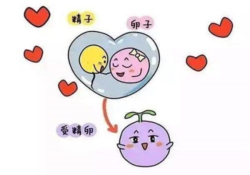 试管婴儿哪家好？国内外对