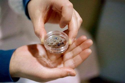 试管婴儿取卵后要多久才能做移植？