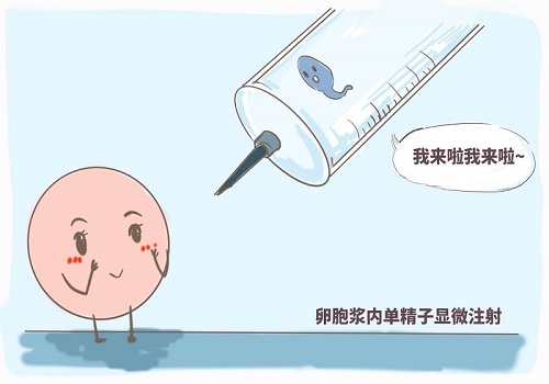 试管婴儿多少钱一次？想做试管就要了解的
