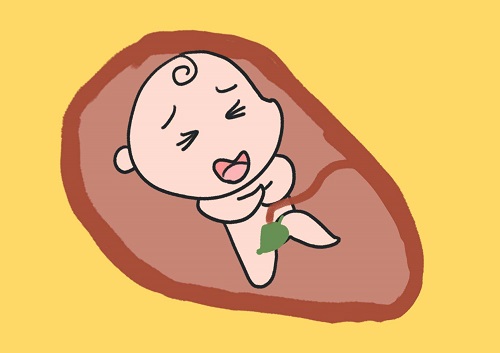 试管婴儿取卵过程需要多长时间