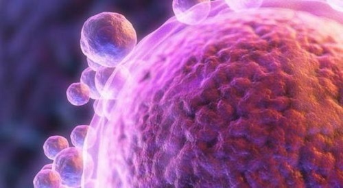 试管婴儿可以帮助染色体患者成功怀孕吗？