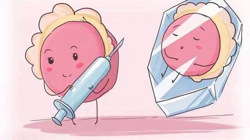 试管婴儿攻略指南，看这里