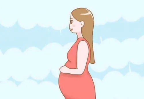 第三代试管婴儿的费用多少_2