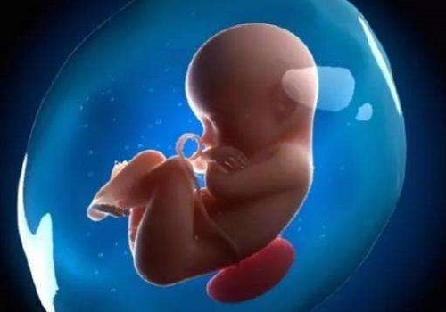 试管婴儿囊胚移植能提高成功率吗？