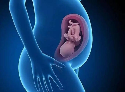 试管婴儿的促排卵过程是怎样的呢？