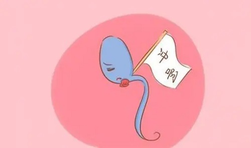 试管婴儿治疗不孕不育需要多少钱呢