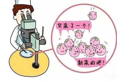 一位泰国试管好妈移植后的总结