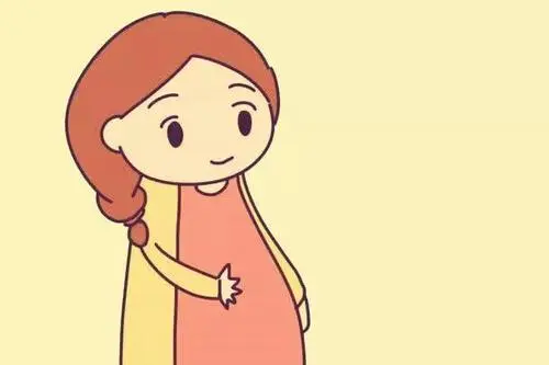 试管婴儿取卵数量决定成功率高低吗？