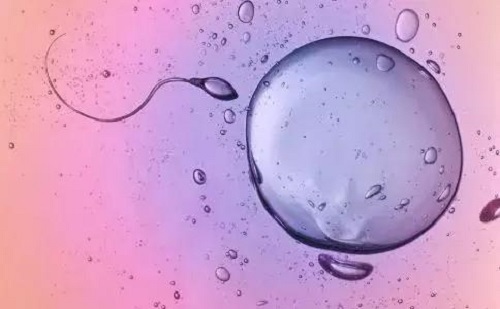 试管婴儿比正常孩子智商低，这是一个误区