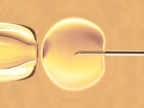 试管婴儿成功率高吗？胚胎移植后怎么促进成功率？