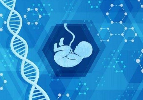 美国试管婴儿如何把受精卵培育至囊胚？有何凸显优势？