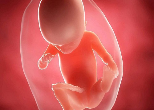 做美国试管：多大的卵泡才是成熟、符合要求的？